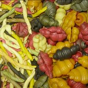 Picture- Colored Pasta Italiana