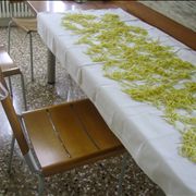 Homemade Pasta Noodles